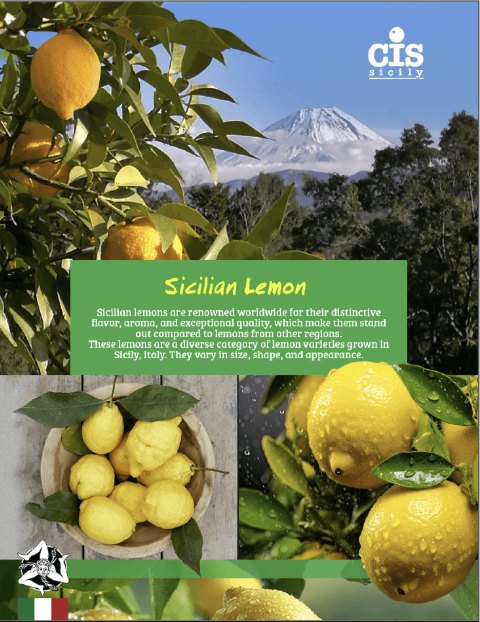 Sicilian Lemon brochure cover