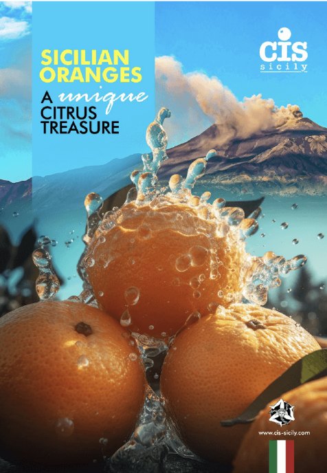 Product Innovation Brochure brochure cover