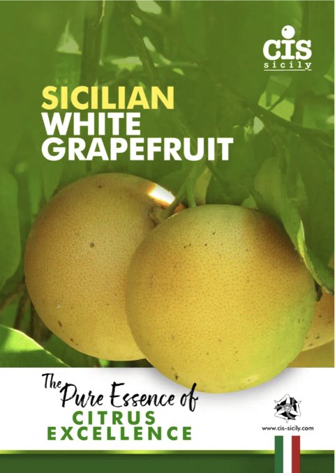 Sicilian White Grapefruit brochure cover